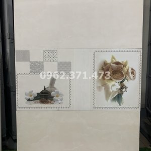 gạch ốp phòng khách 30x60 tasa 2014
