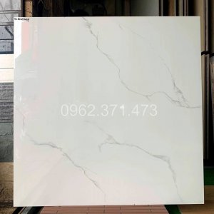 Gạch lát phòng khách 80x80 Vicenza 8005