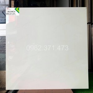 gạch lát phòng khách 80x80 803HOI