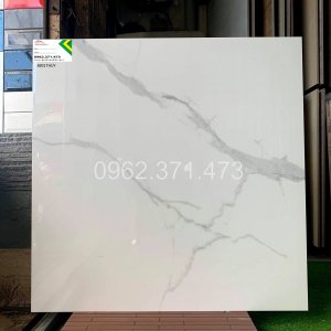 gạch bóng kiếng 80x80 8801