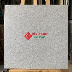 gạch đá nhám mờ 60x60 viglacera màu xám 501