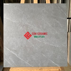 gạch lát nền nhám mờ 60x60 màu xám ghi vân đá viglacera 802