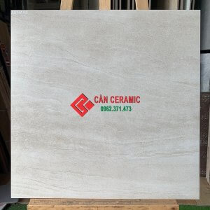 gạch men matt 60x60 viglacera màu be 202