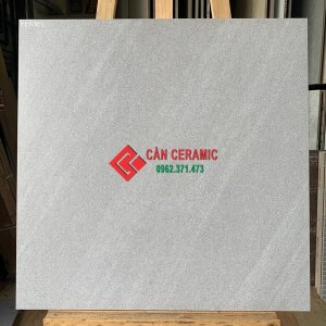 Gạch 60x60 nhám mờ xám ghi nhạt viglacera 203