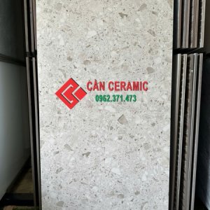 gạch 60x120 terrazzo nâu vân đá hiệu ứng