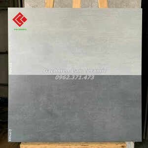 gạch viglacera 30x60 đá mờ xi măng 0103