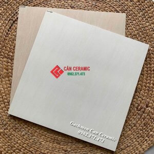 Gạch nhám mờ 60x60 đen trắng